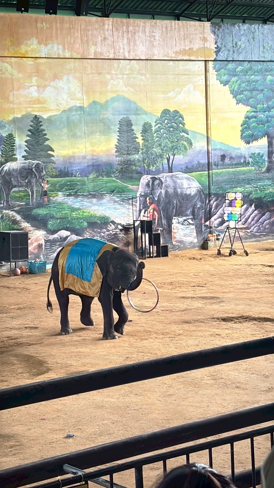 Elephant Talent Show