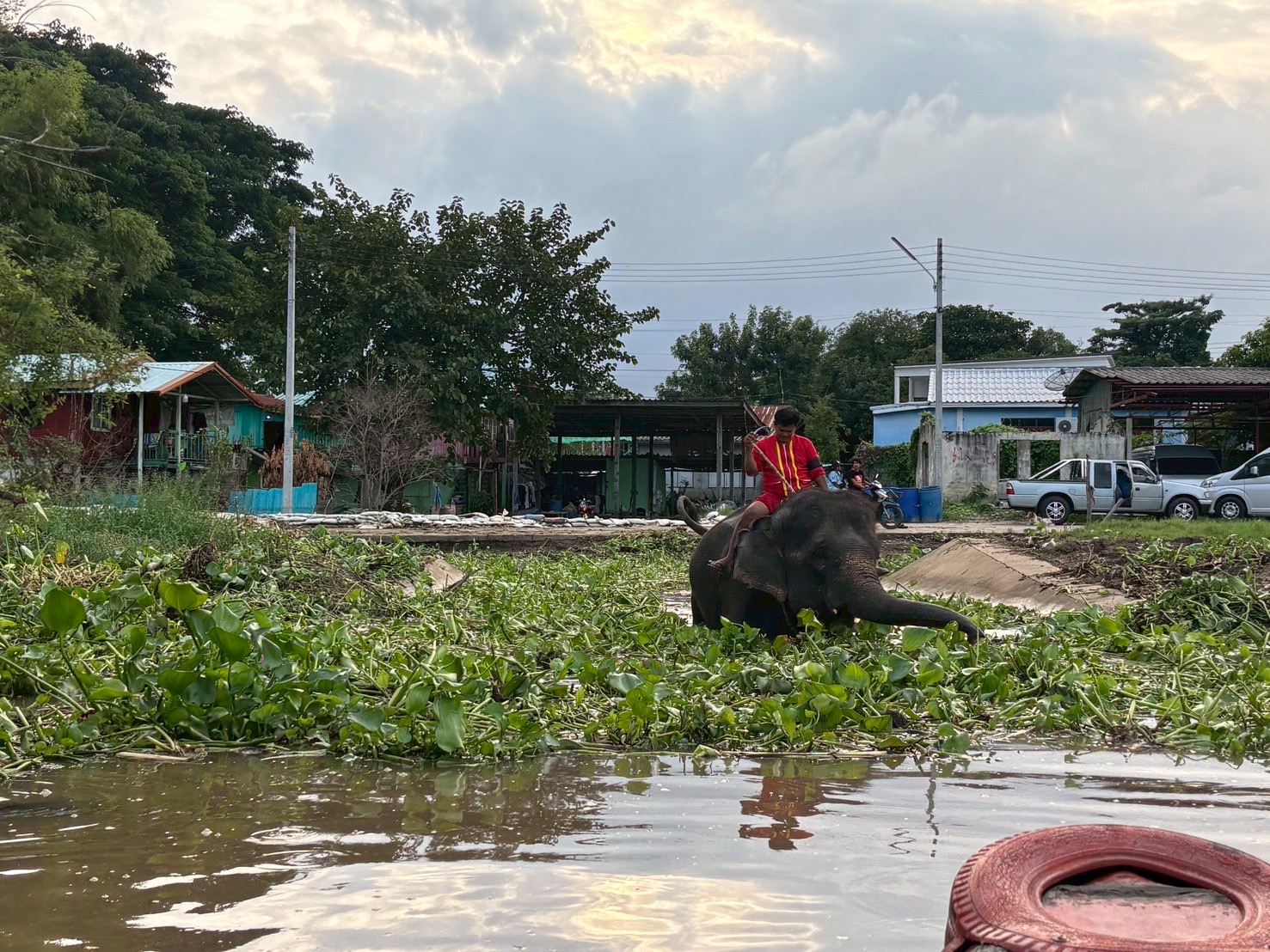 Mahout and Elephant